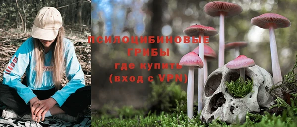 амф Алзамай