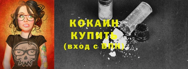 стафф Алексин